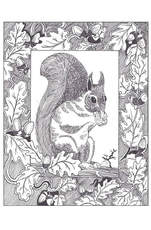 squirrel-in-frame-14-april-jpeg